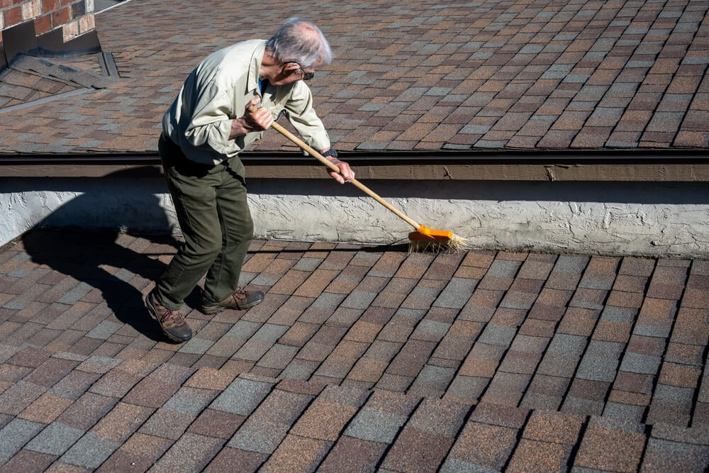 clean roof shingles