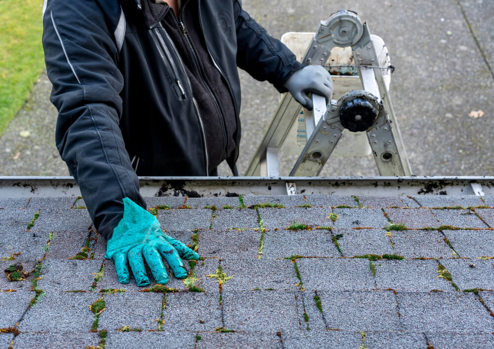 clean roof shingles