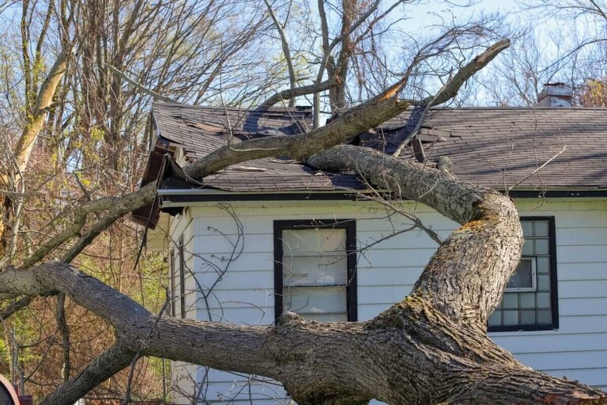 roof storm damage