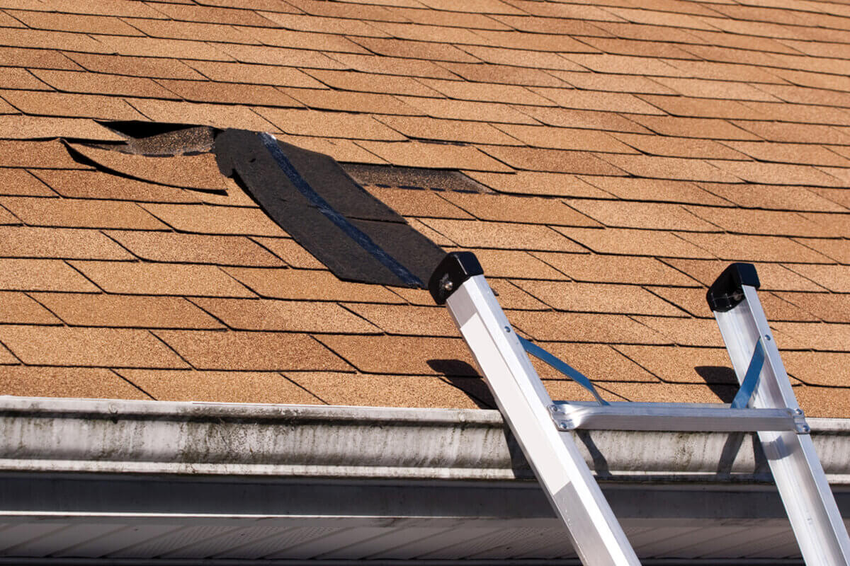 replace missing shingles