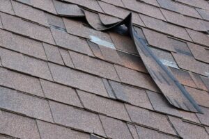 lifting shingles