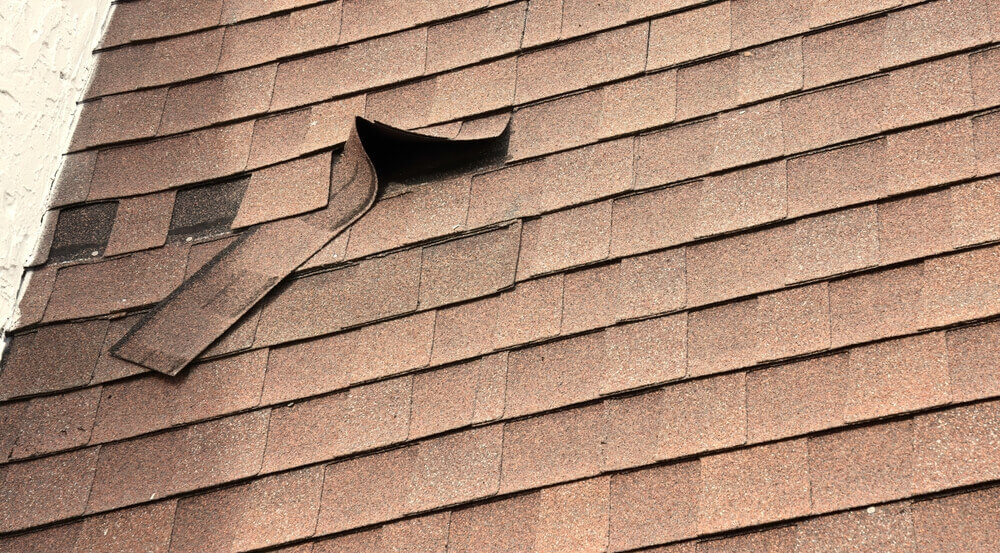 lifting shingles