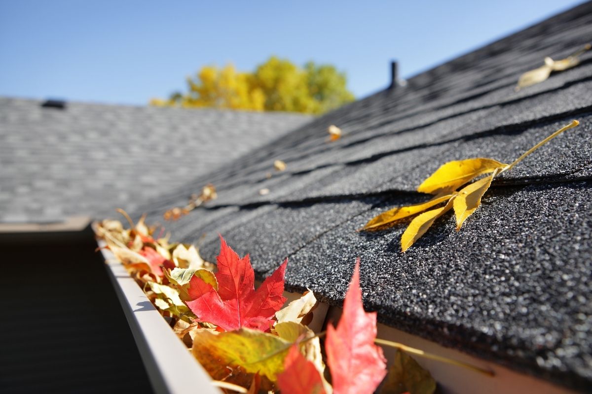 Top 3 Reasons to Install Gutter Guards Before Fall Hits Ohio