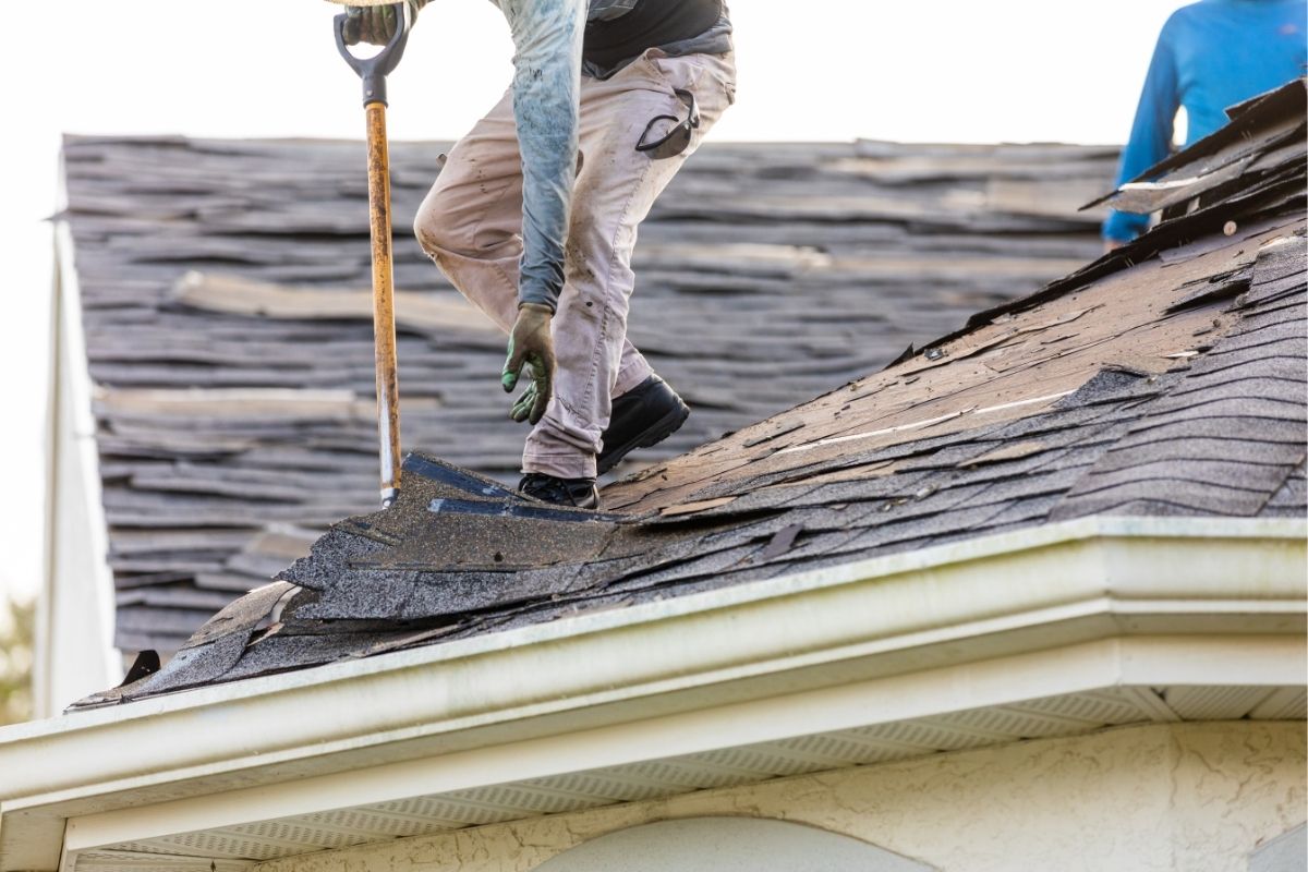 7 Early Signs of Roof Damage That Can Save You Thousands