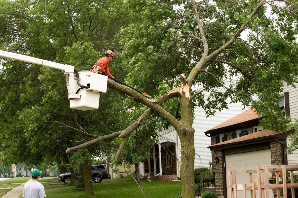 7 Costly Roof Maintenance Mistakes Homeowners Must Avoid