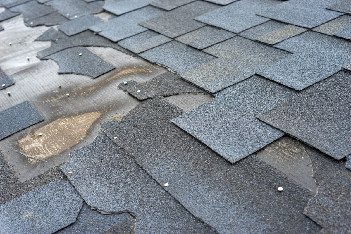 7 Early Signs of Roof Damage That Can Save You Thousands
