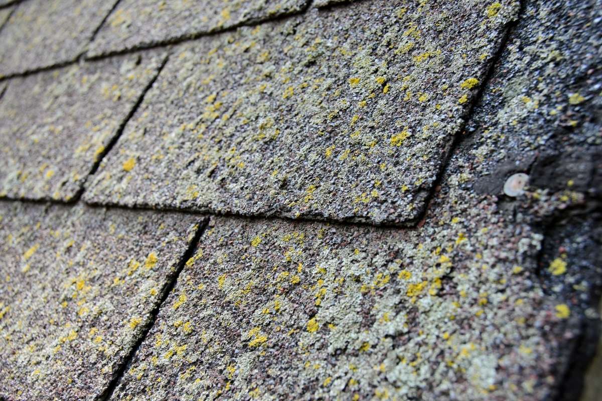 Why Impact-Resistant Shingles Are the Best Upgrade for Ohio’s Weather