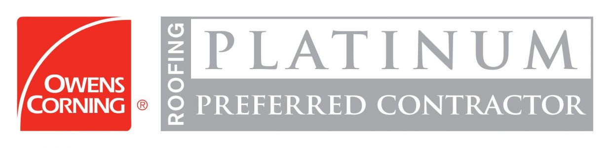 Platinum PC Logo 2012_lightbox