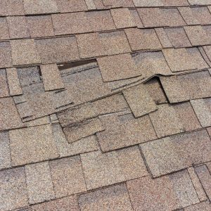 wind damaged shingles